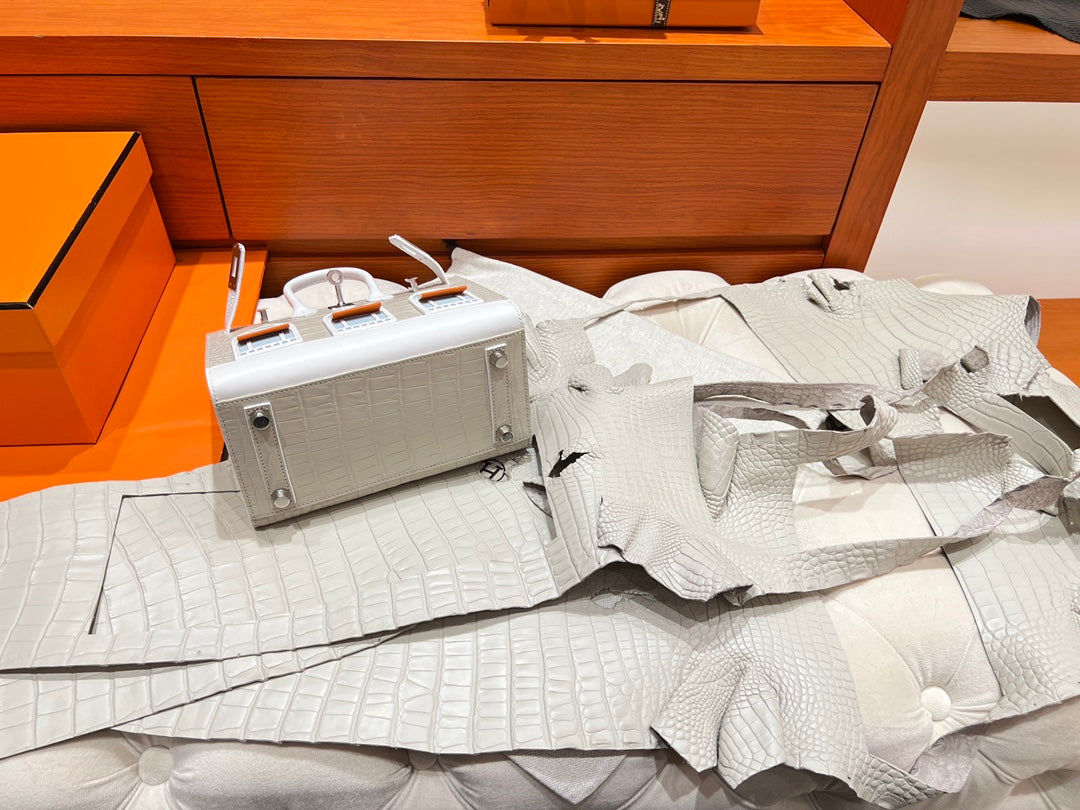 Hermès Birkin 20 Faubourg Neige Matte Alligator &amp; Epsom Leather White Handbag