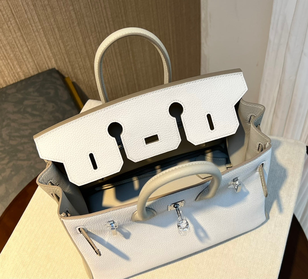 Hermès Birkin 25 Bicolor Handbag - Nata &amp; Etain Epsom Leather