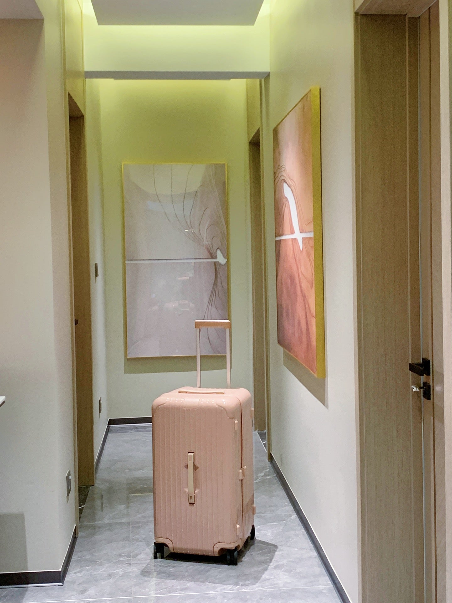 Minimalist Dusty Rose Pink Hardshell Spinner Luggage Set for Travel