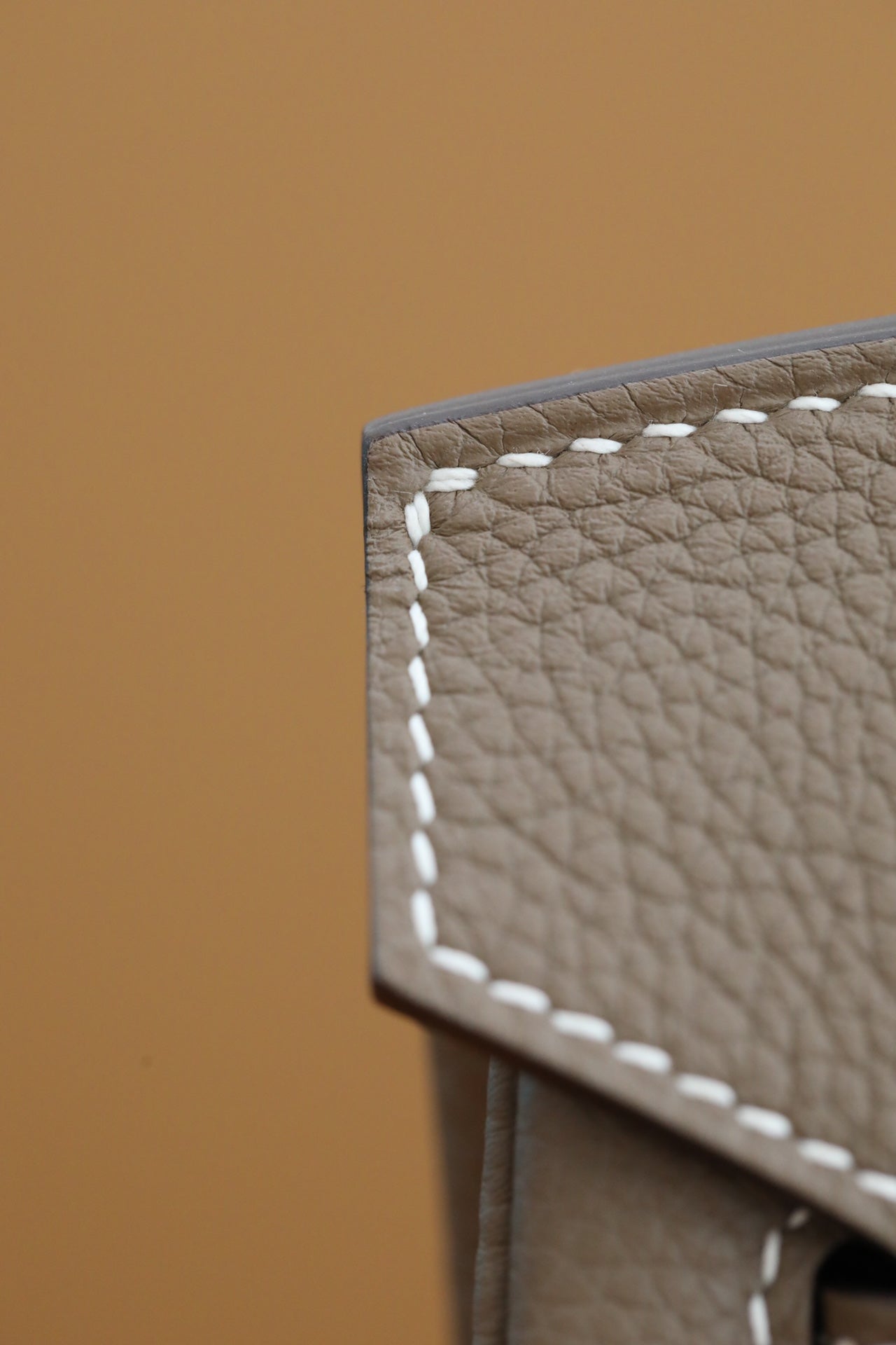 Elegant Taupe Leather Top-Handle Handbag with Gold-Tone Hardware