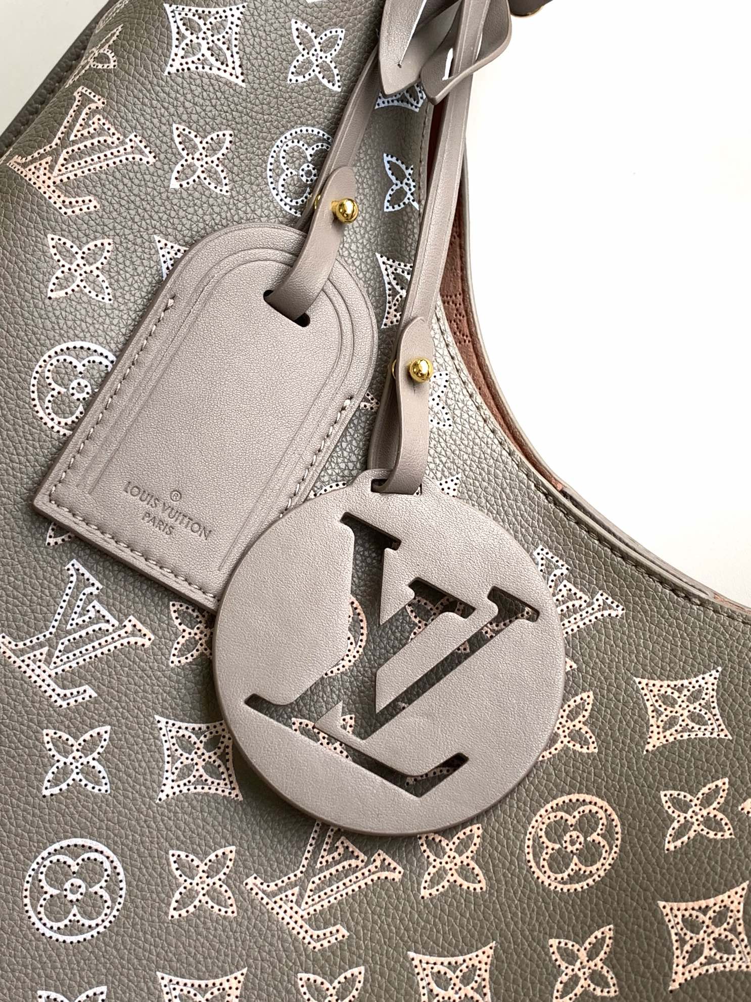 Louis Vuitton Taupe Monogram Leather Hobo Bag with Braided Handle