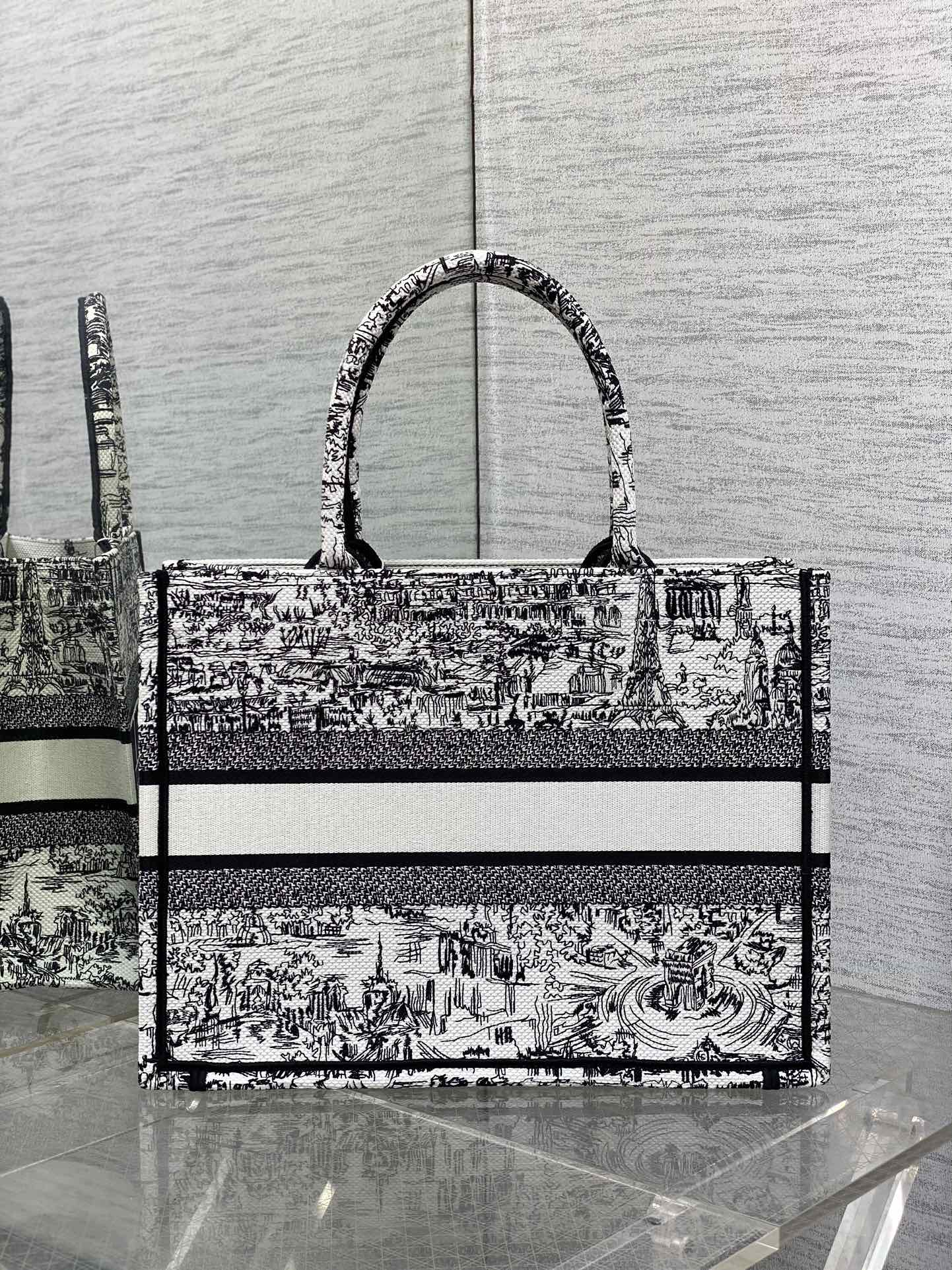 Dior Luxury Embroidered Black and White Paris City Print Canvas Tote Bag