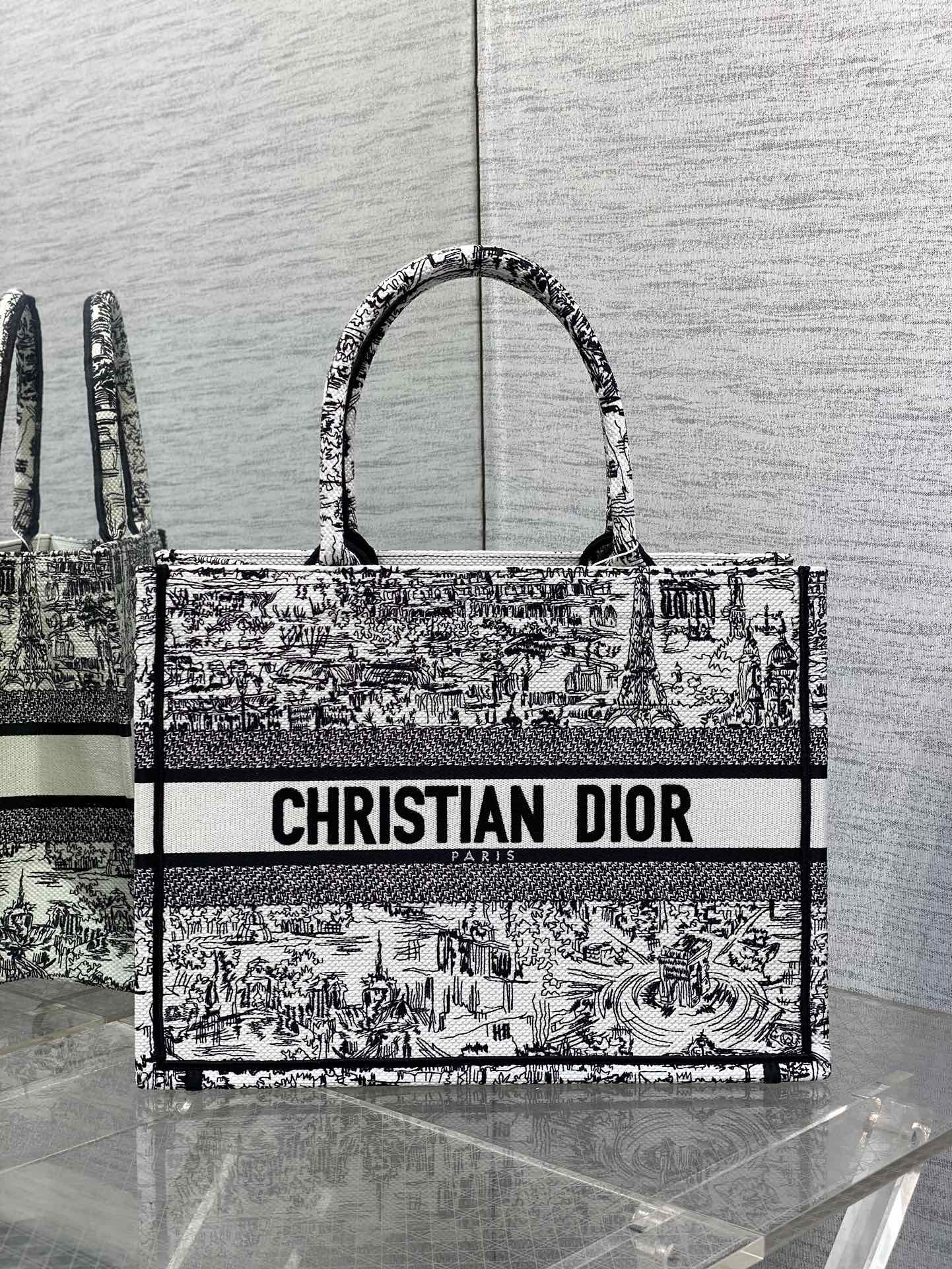 Christian Dior Large Book Tote Bag Plan de Paris Embroidery - Black and White