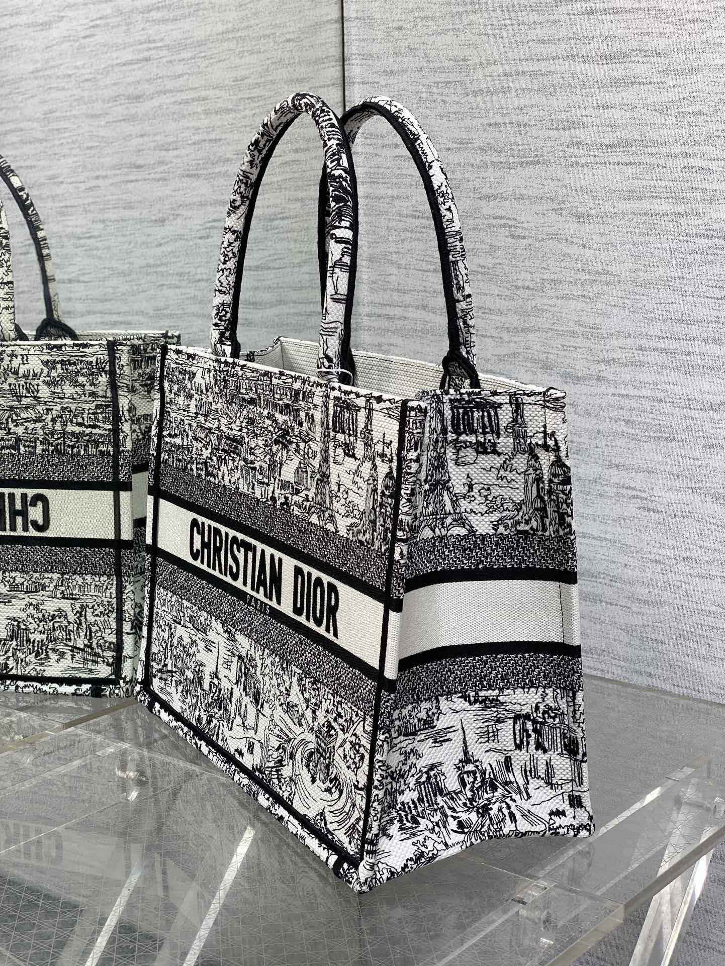 Christian Dior Large Book Tote Black and White Plan de Paris Embroidery