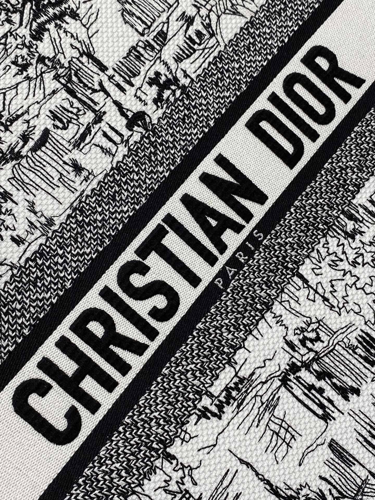 Dior Monochrome Parisian Cityscape Print Canvas Tote Bag