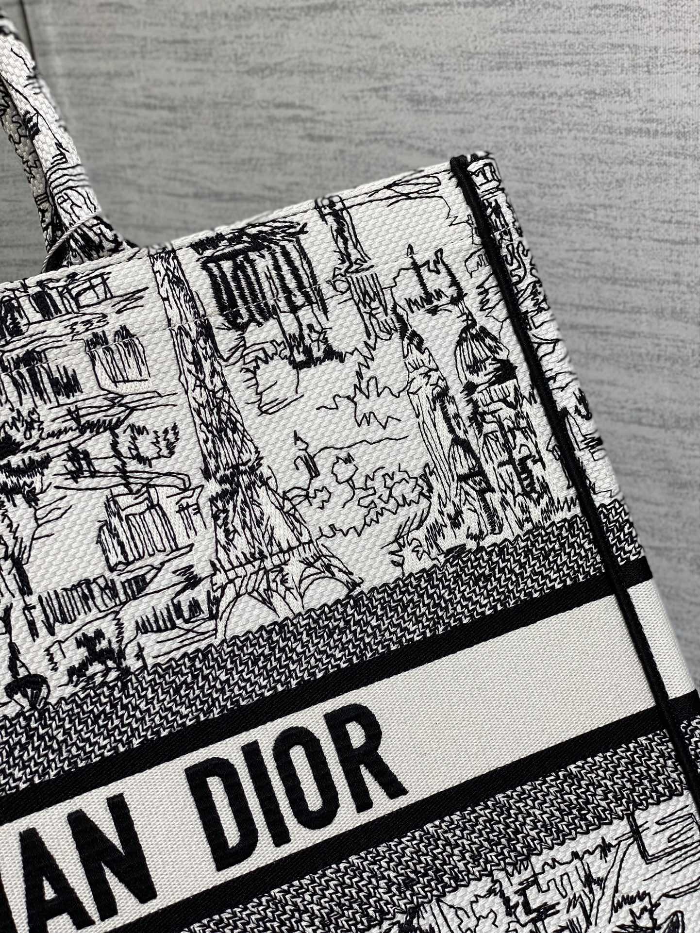 Dior Monochrome Parisian Cityscape Print Canvas Tote Bag