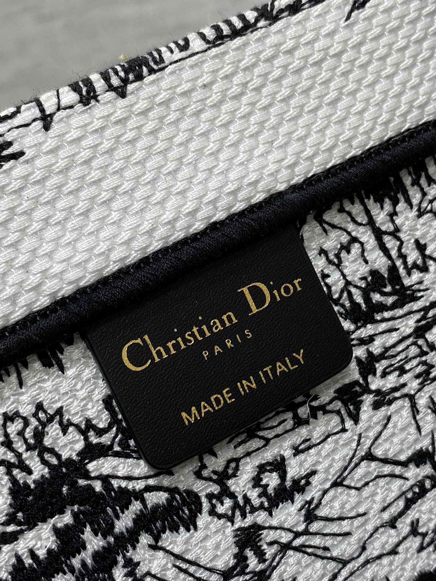 Christian Dior Large Book Tote White and Black Plan de Paris Embroidery Canvas