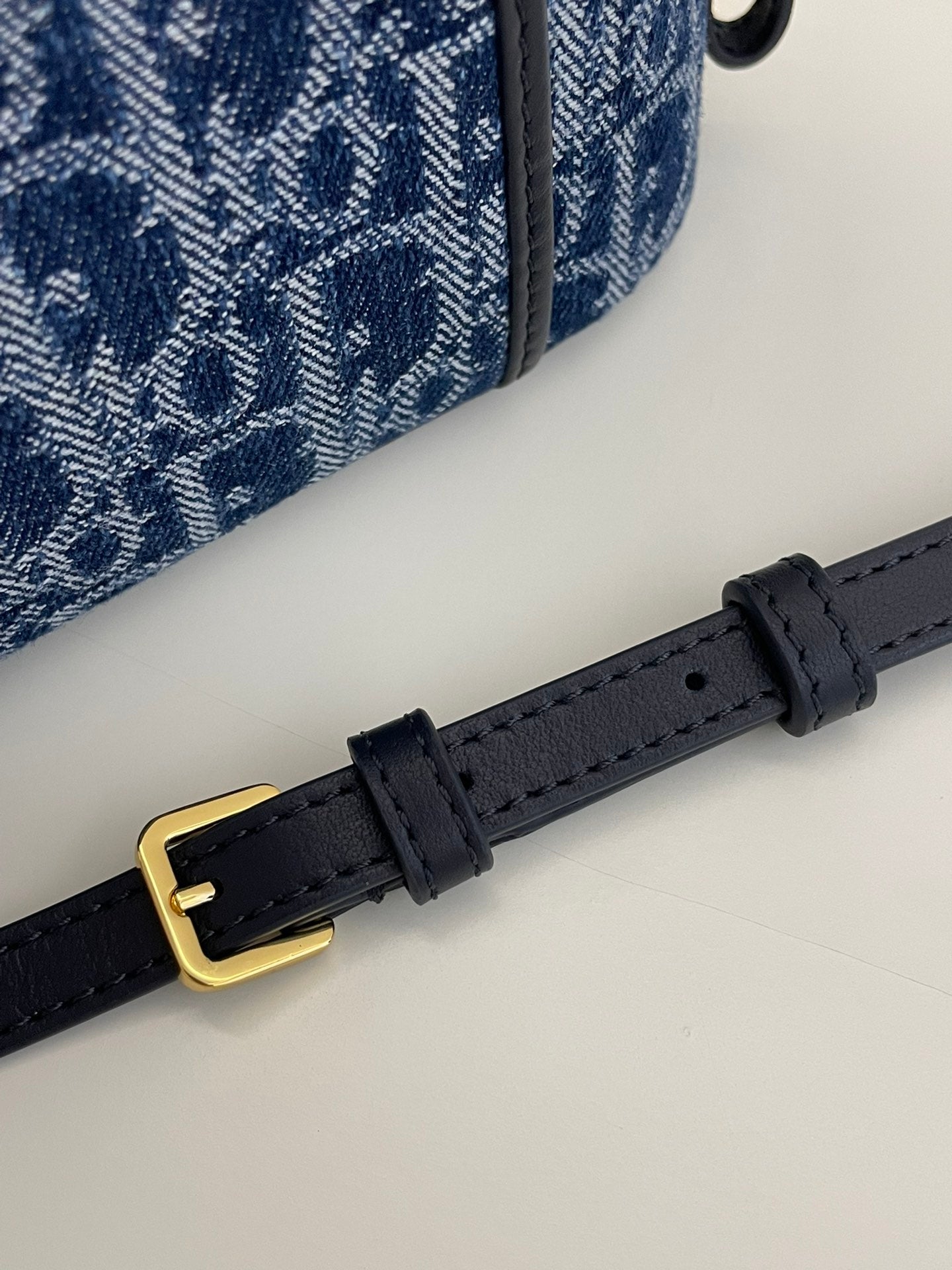 Designer Blue Oblique Canvas Vanity Case with Gold Chain Strap