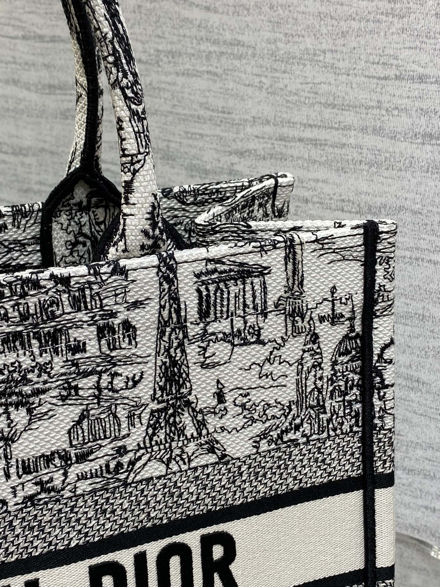 Dior Parisian Toile Scenic Print Large Canvas Tote Handbag