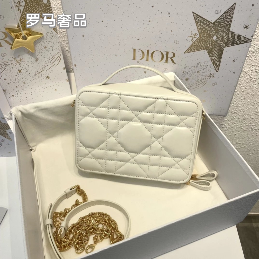 Dior Luxury Quilted Leather Vanity Case Travel Cosmetic Makeup Bag