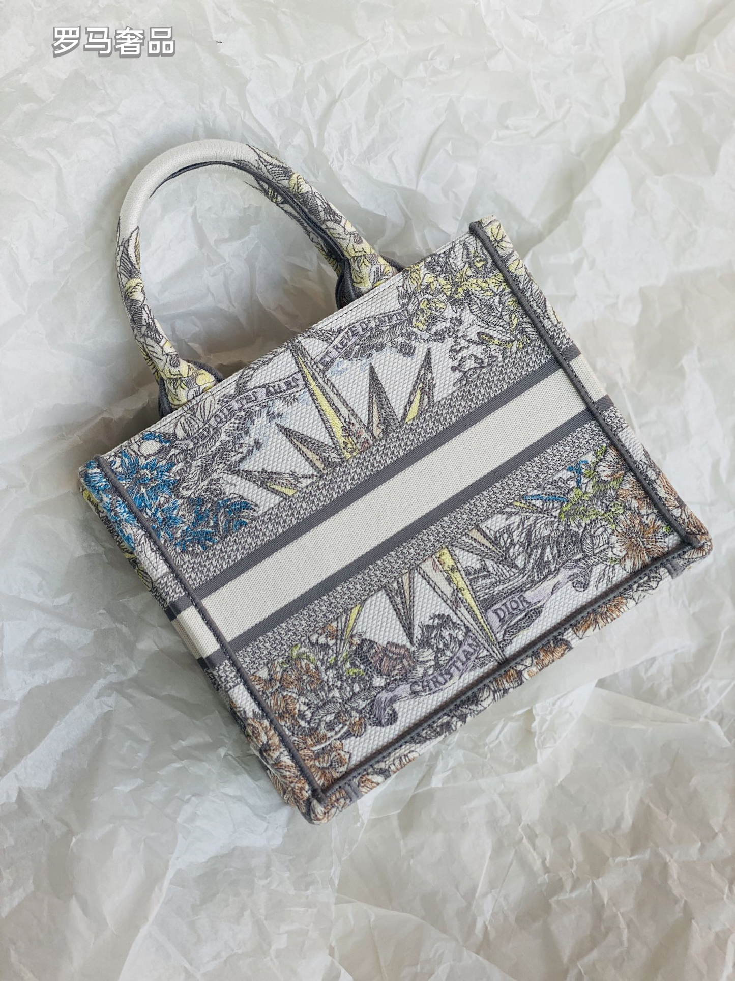 Dior Luxury Embroidered Canvas Tote Bag with Constellation Star Print