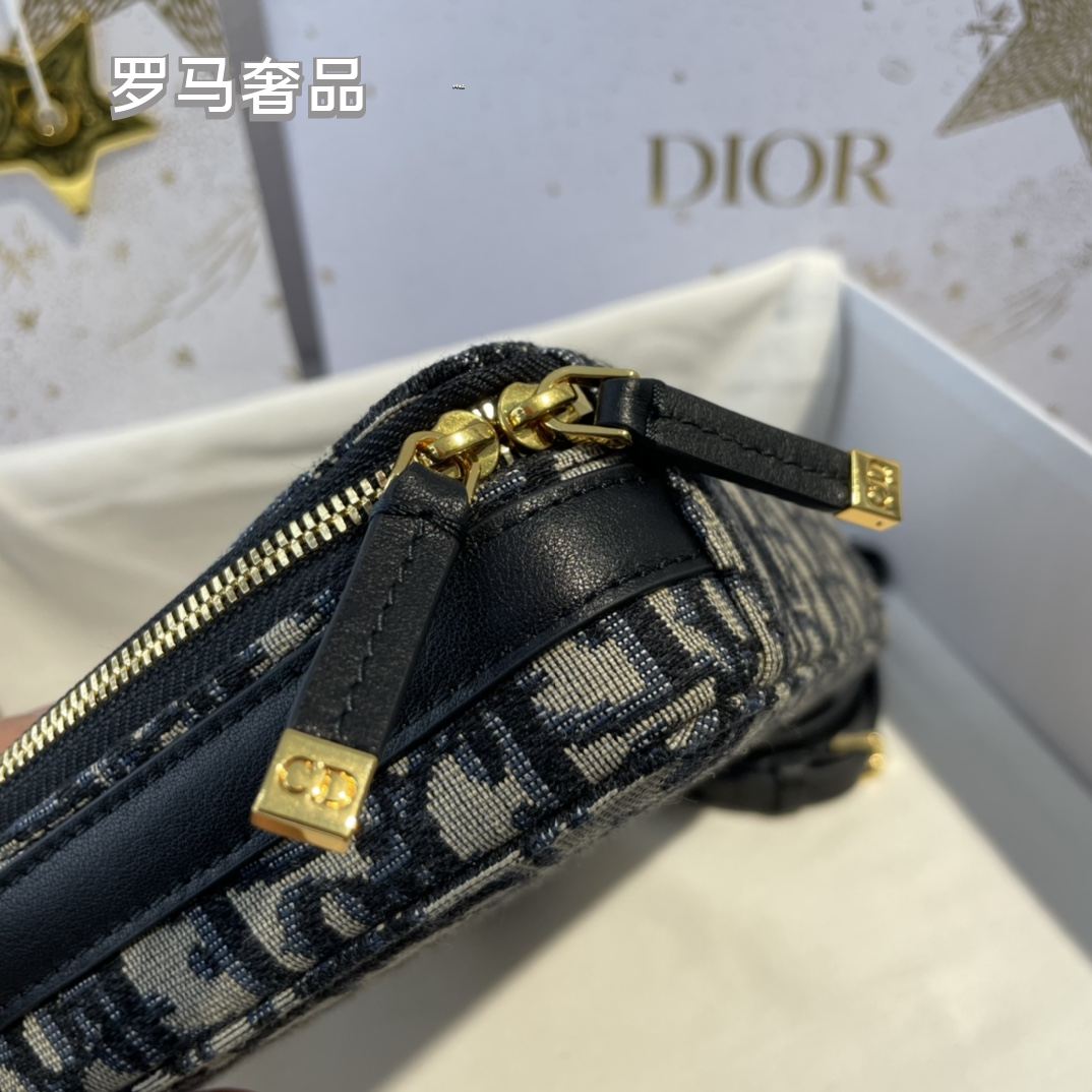 Dior Luxury Monogram Canvas Vanity Case Handbag with Gold Hardware