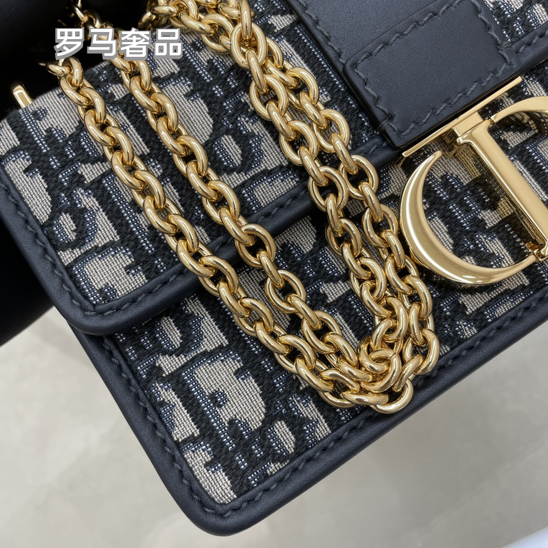 Dior Luxury Monogram Canvas Shoulder Bag with Gold Hardware and Chain Strap