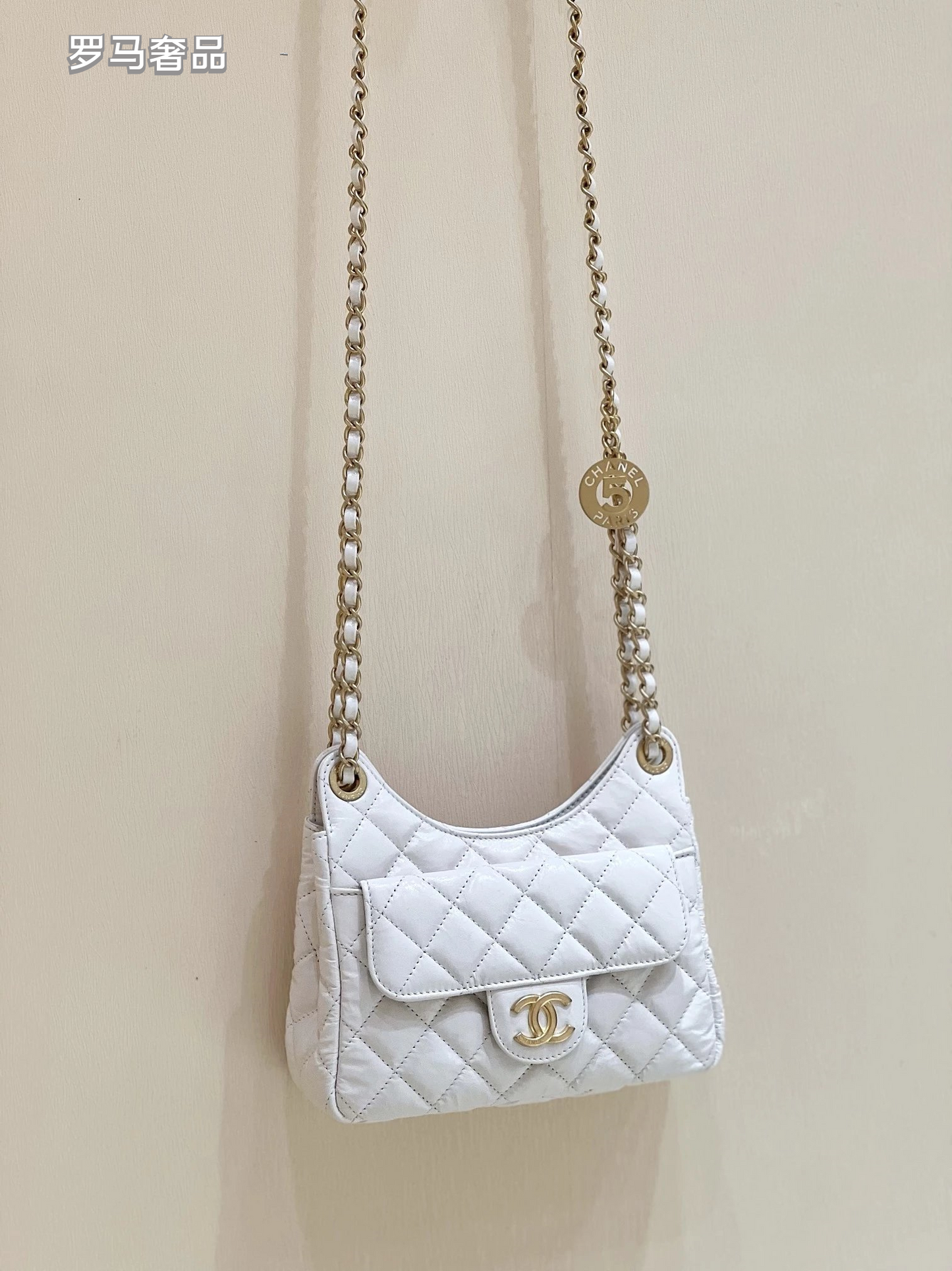Chanel Small Hobo Bag White Quilted Lambskin Gold-Tone Metal Handbag