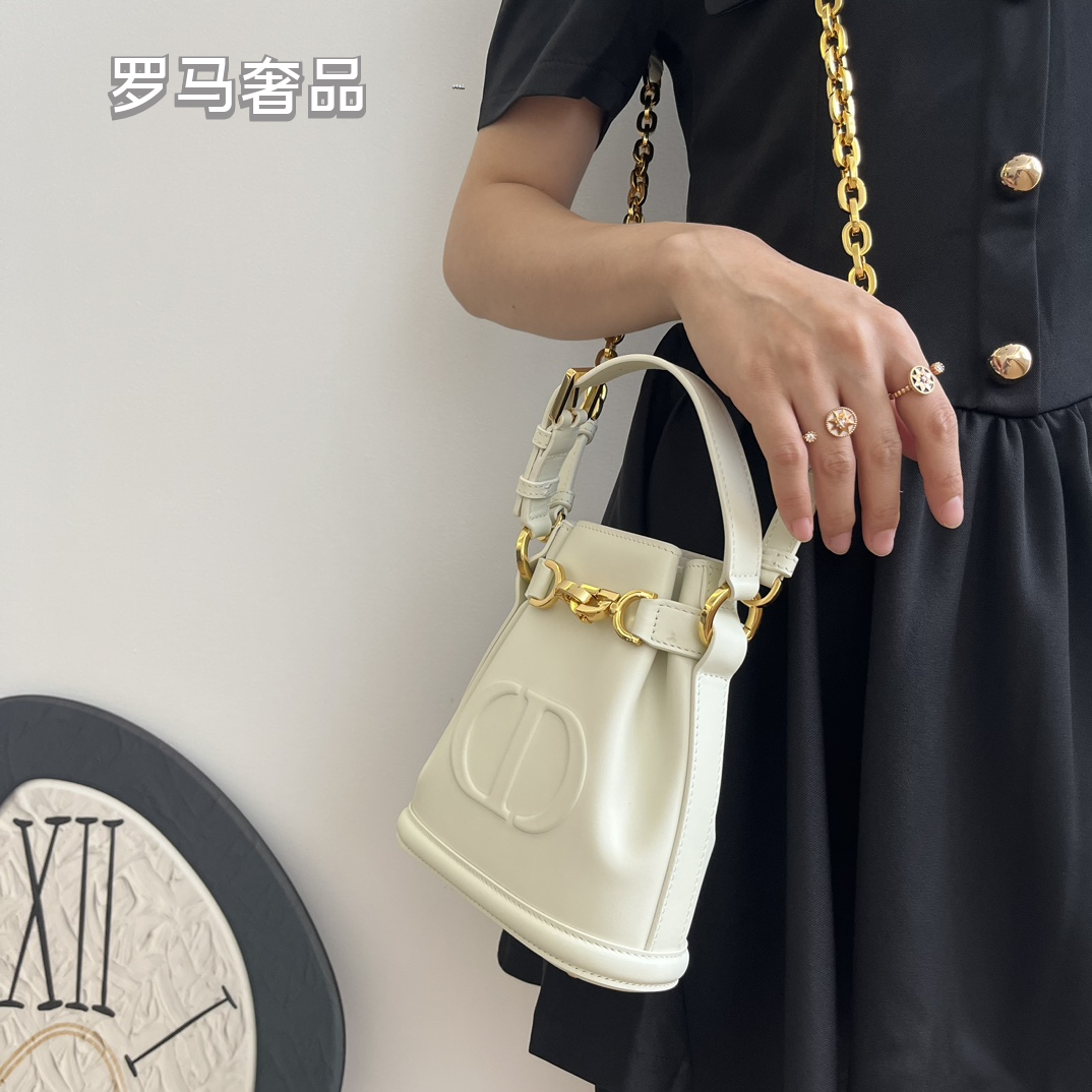 Christian Dior C'est Dior Bucket Bag - White Calfskin with Gold-Tone Hardware